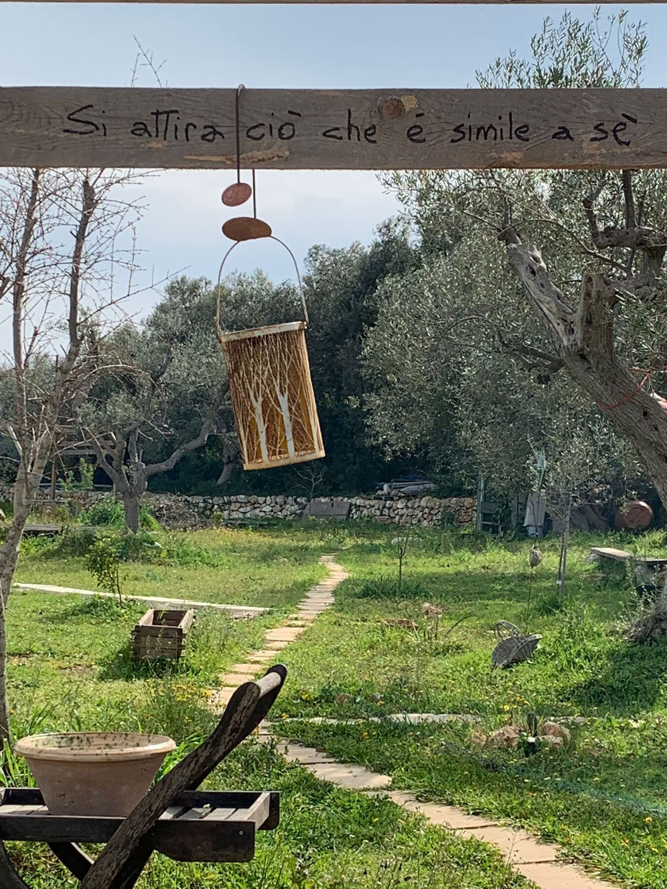 The path among the olive trees at Bibiland