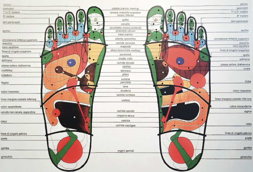 The map of the reflex points on the sole of the foot